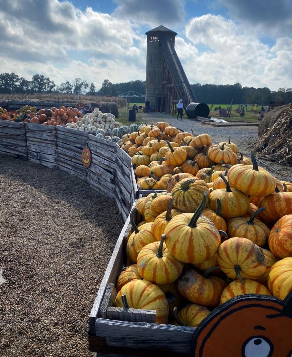 Stay-dine-discover-enjoy-mt-vernon-illinois-marlows-pumpkin-patch
