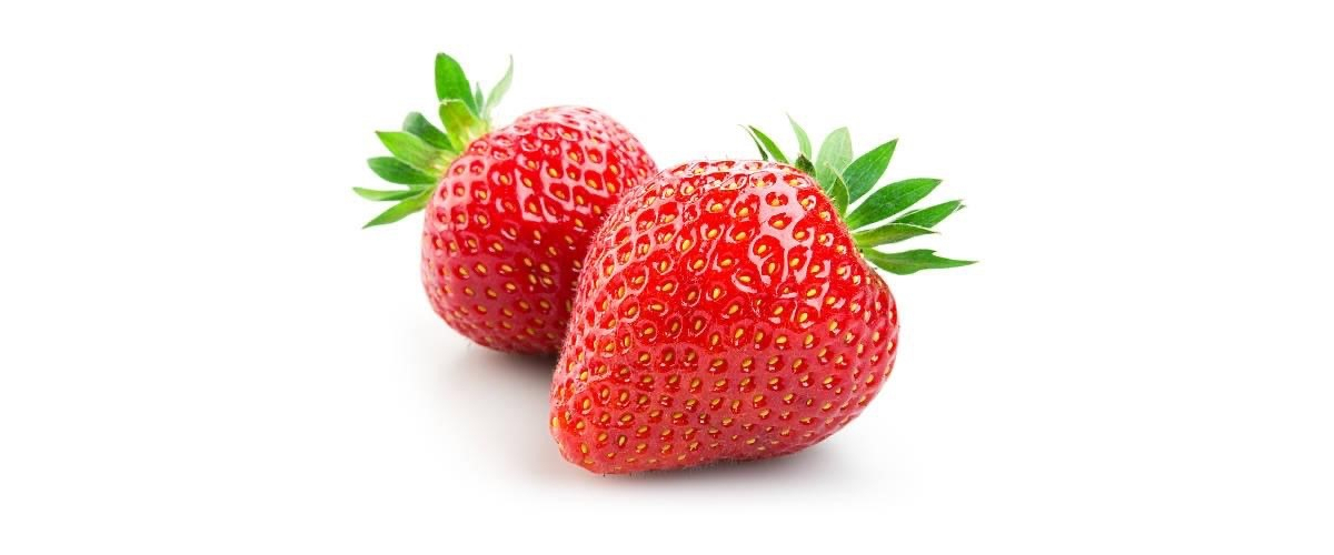 Strawberry Festival and Plant Sale